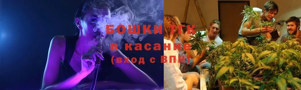 индика Баксан
