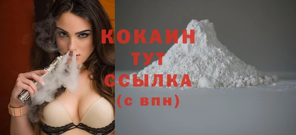 индика Баксан
