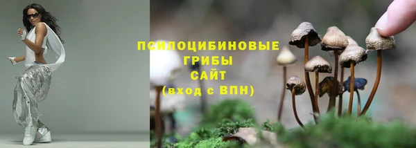 индика Баксан