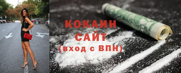 индика Баксан
