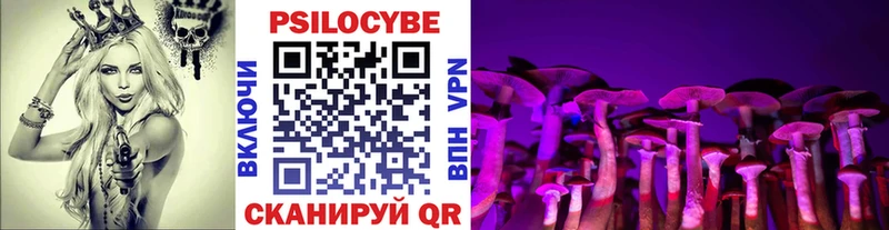 Купить  Абаза  Галлюциногенные грибы прущие грибы 
